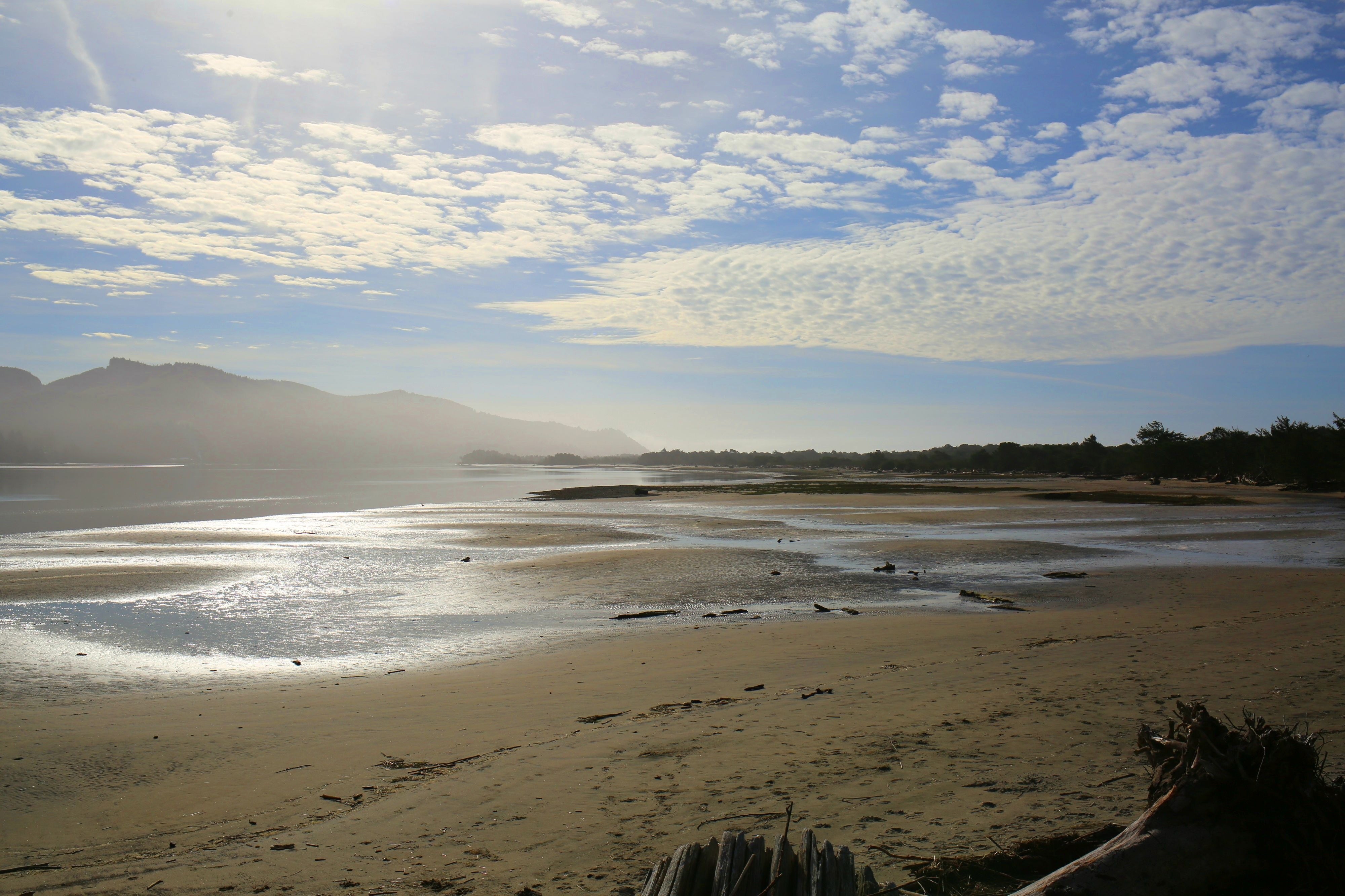 Nehalem Bay Real Estate or Outdoorsman's Paradise? Tosha Reinmiller