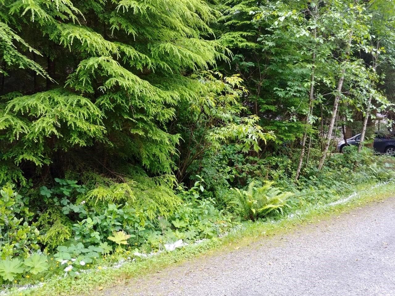 Arch Cape Land Tosha Reinmiller Living Room Realty